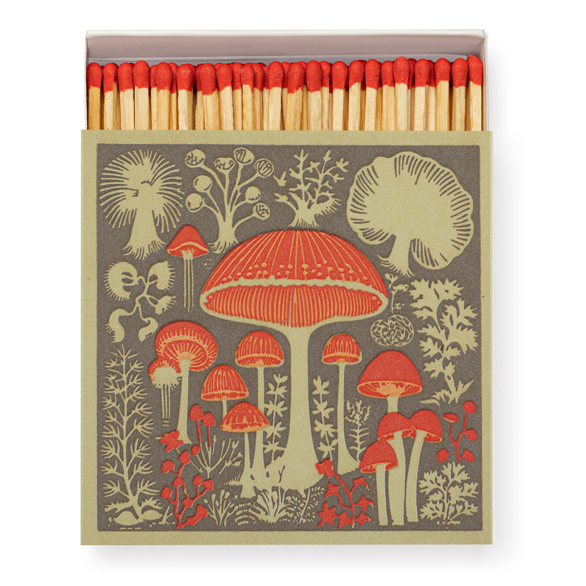 Boîte d'allumettes - Mushroom