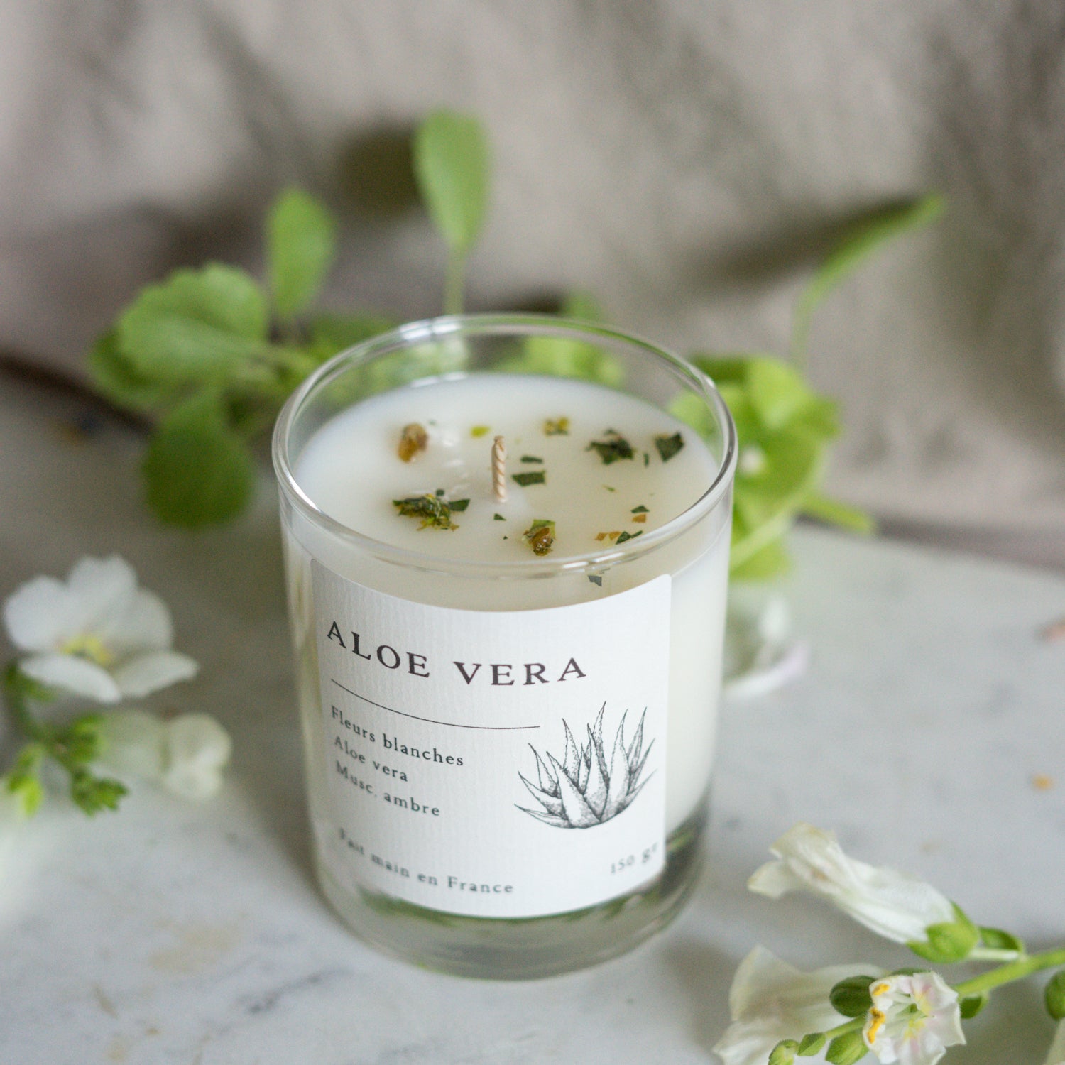 Bougie parfumée artisanale cire végétale - Aloe vera
