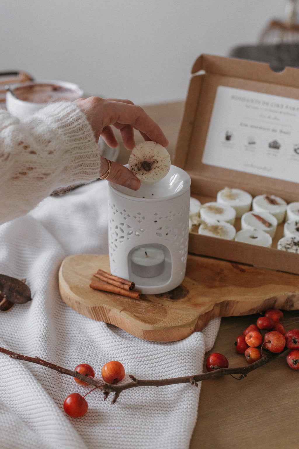 Coffret de 12 fondants de cire parfumée senteurs Noël