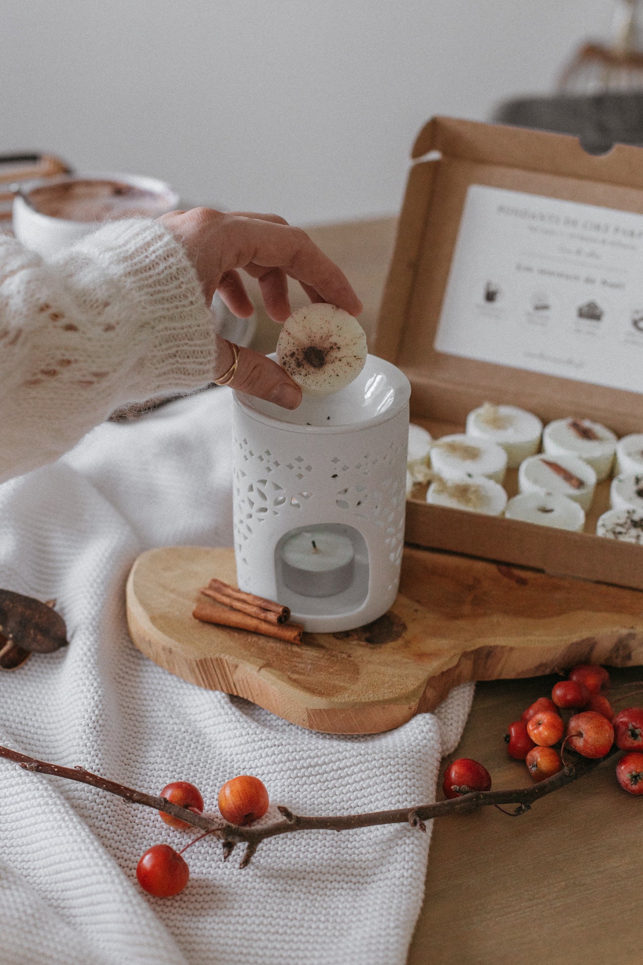 Coffret de 12 fondants de cire parfumée senteurs Noël