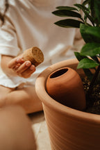 Olla - Terracotta