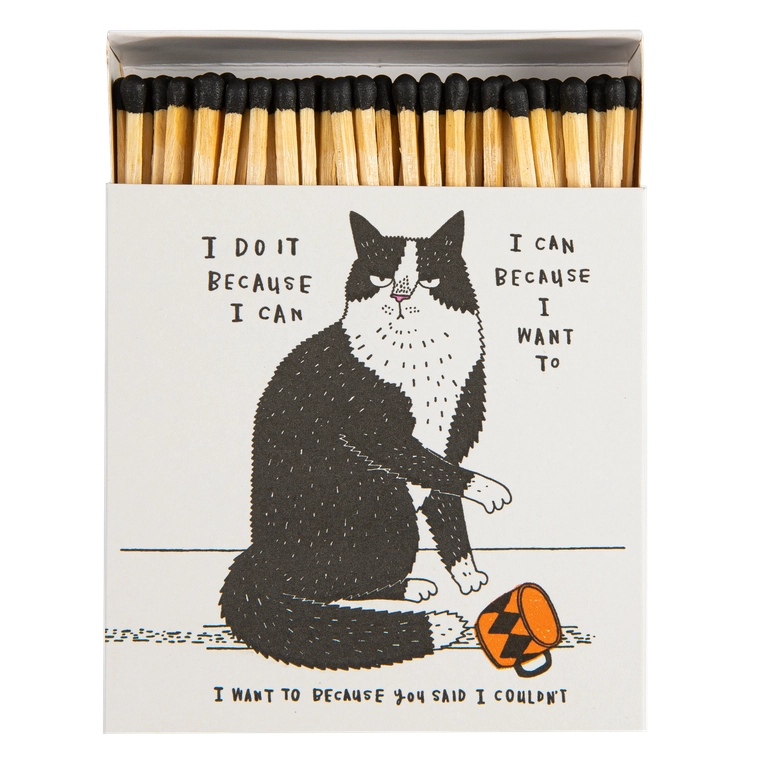 Boîte d'allumettes - Bad cat