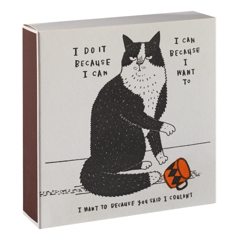 Boîte d'allumettes - Bad cat