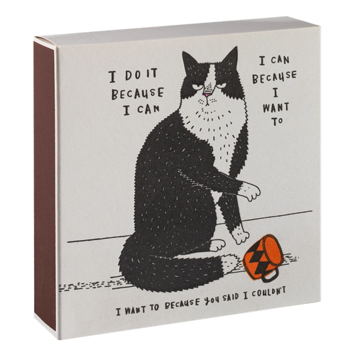 Matchbox - Bad cat