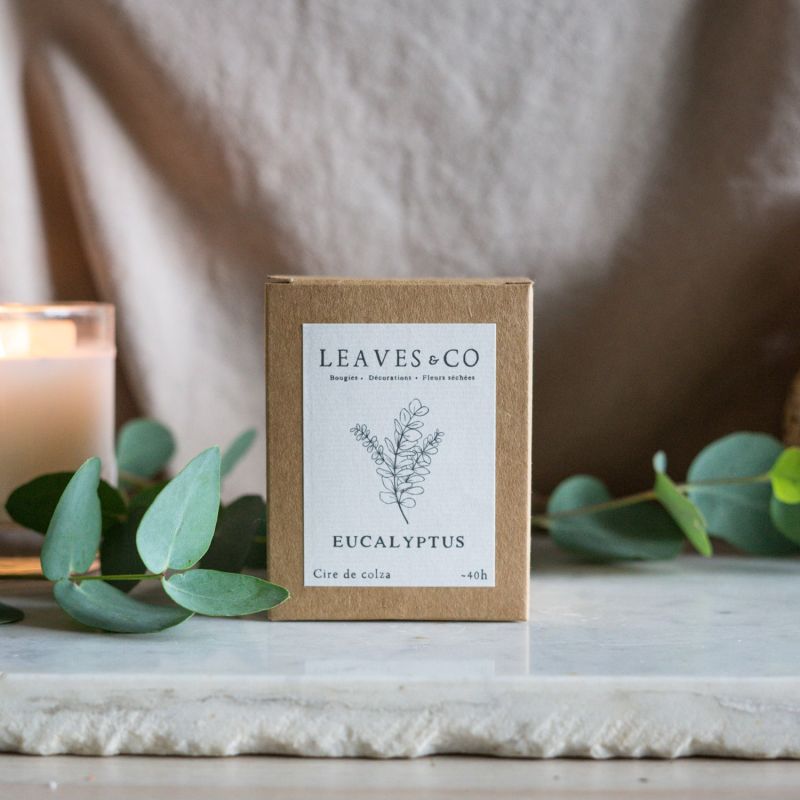 Bougie parfumée artisanale cire végétale - Eucalyptus