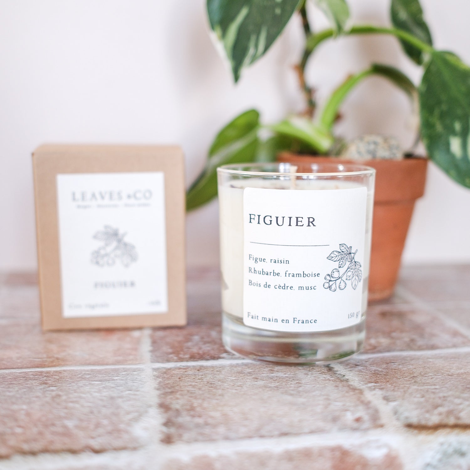Bougie parfumée artisanale cire végétale - Figuier