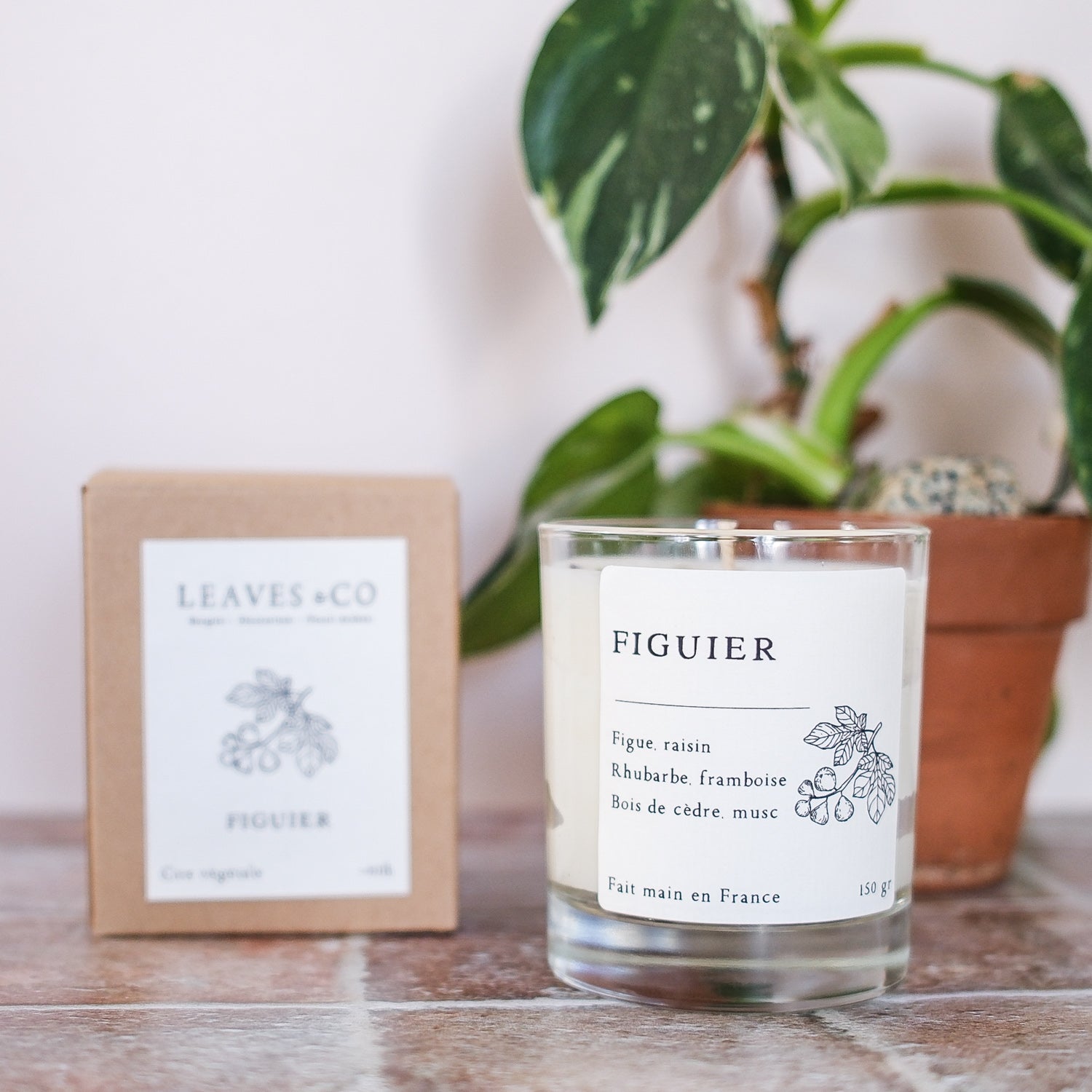Bougie parfumée artisanale cire végétale - Figuier