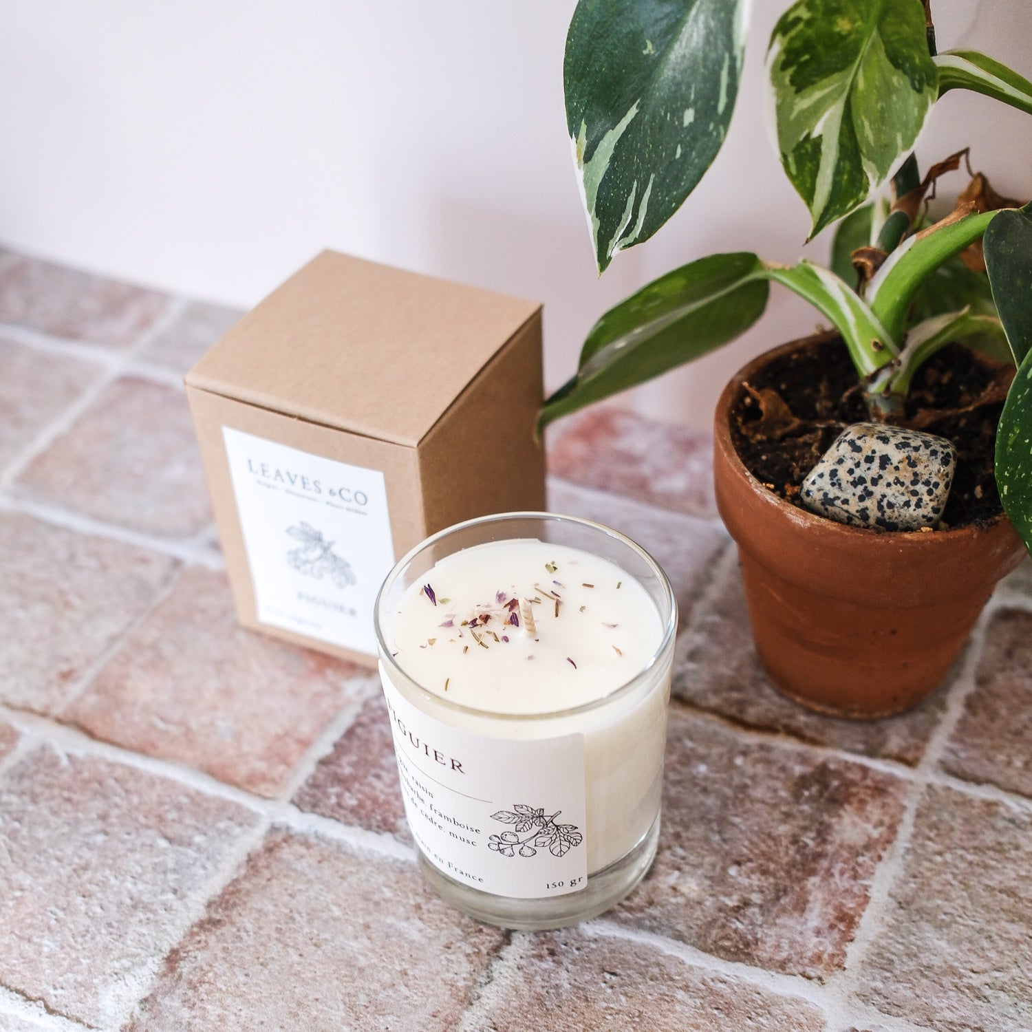 Bougie parfumée artisanale cire végétale - Figuier