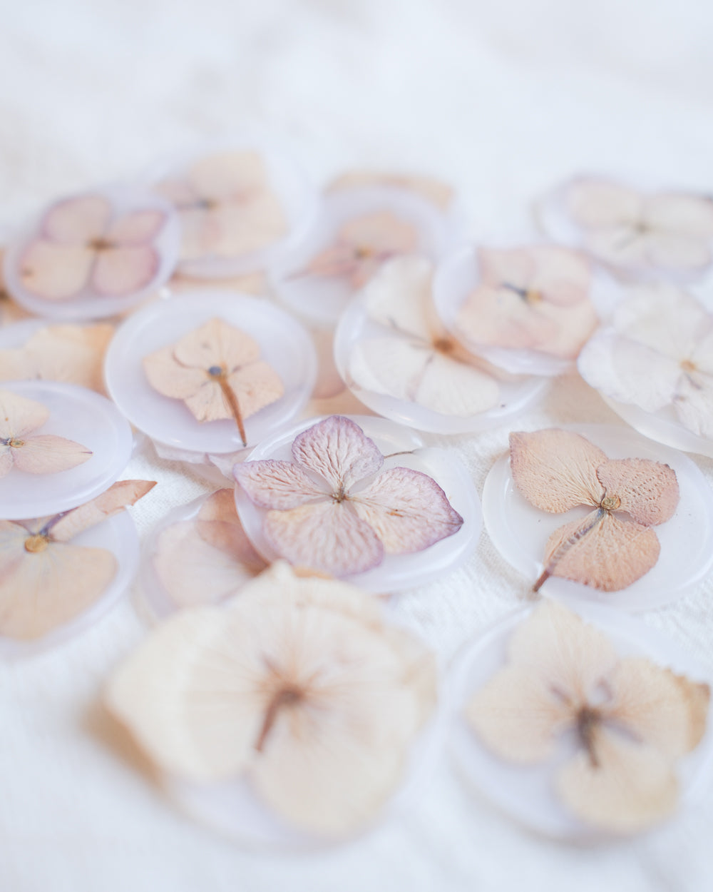 Cachet de cire hortensia