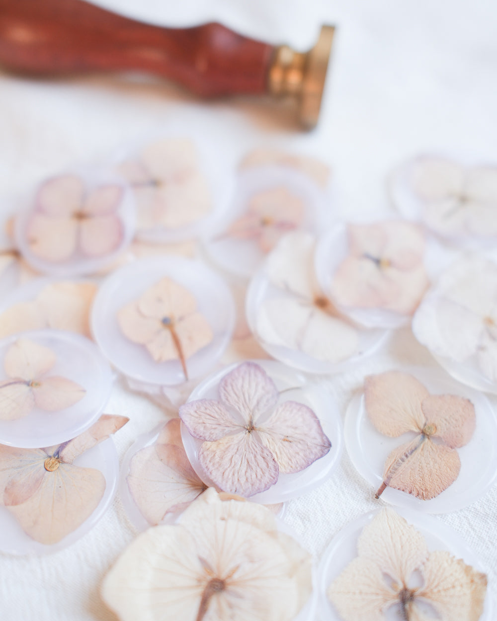 Cachet de cire hortensia