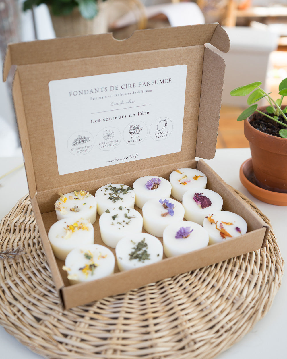 Coffret de 12 fondants de cire parfumée senteurs de l'été