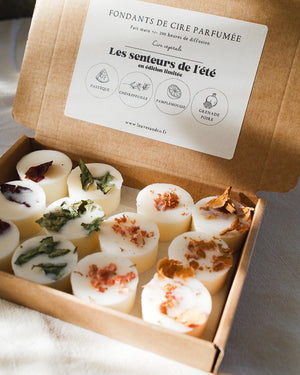 Coffret de 12 fondants de cire parfumée senteurs de l'été editon limitée