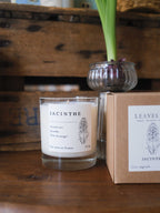 Handcrafted scented candle with vegetable wax - Hyacinth