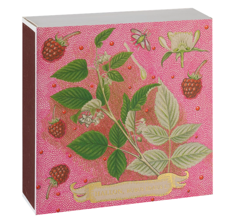 Boîte d'allumettes - Raspberry