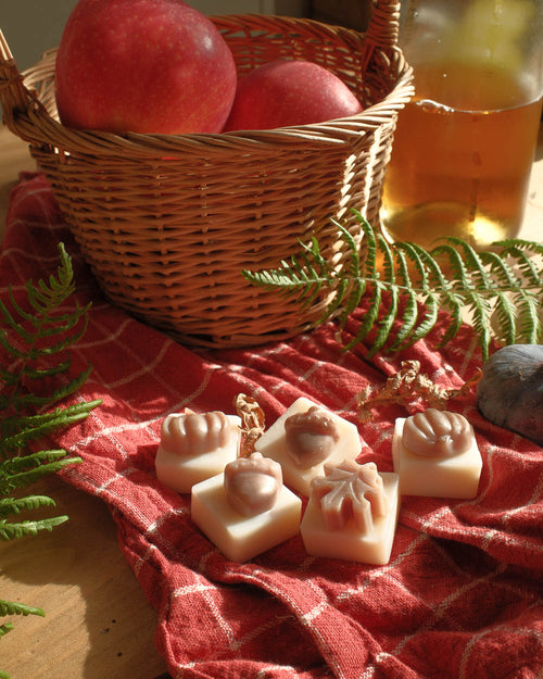 Boîte de fondants parfumés – Marché d'automne
